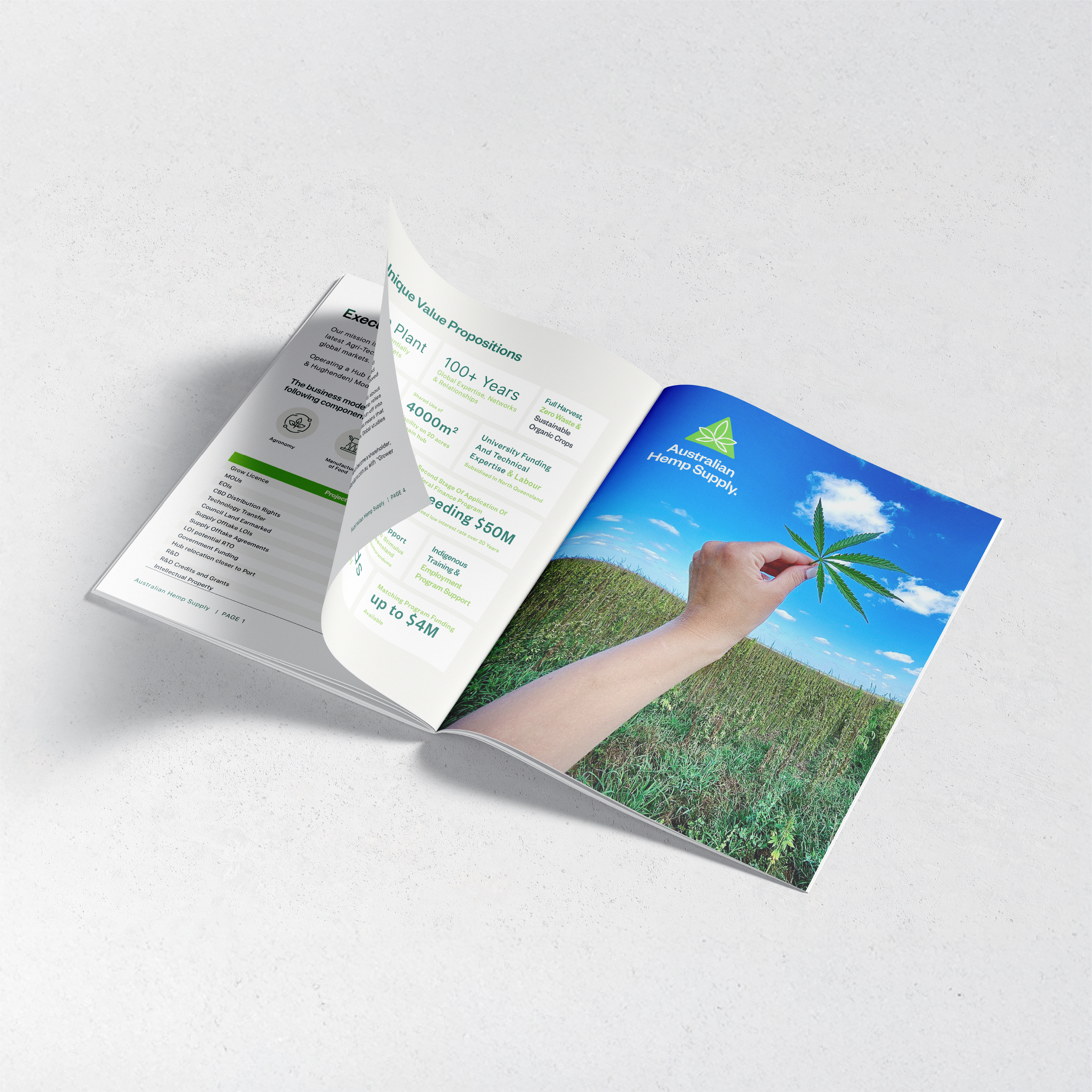 wandarra intro image